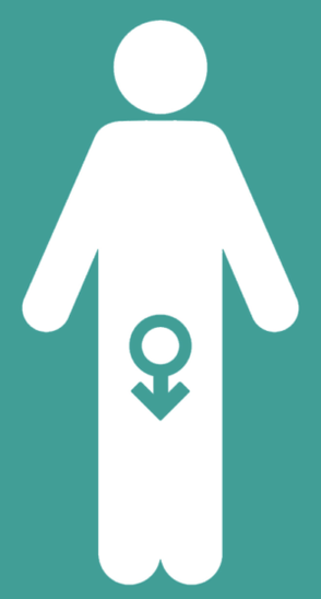 Male impotence and an increase in a member