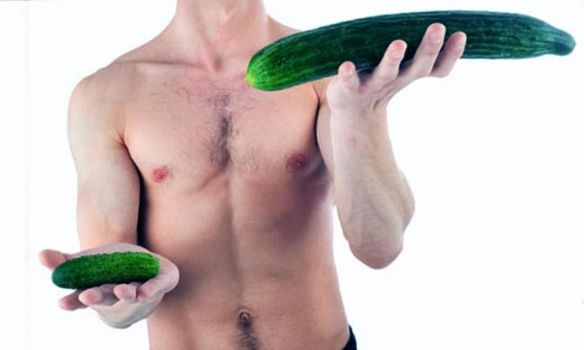 big and small penis size in the example of cucumbers